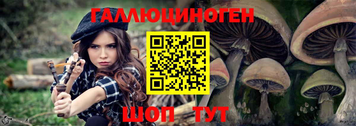 Псилоцибиновые грибы мицелий Бузулук
