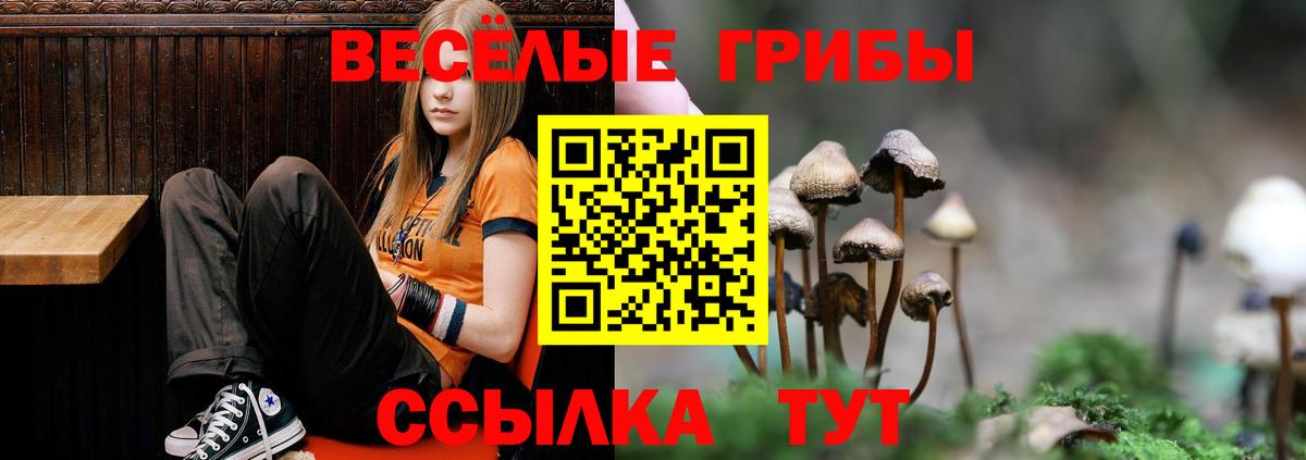 закладка  Псилоцибиновые грибы Psilocybine cubensis  Вход с VPN  Бузулук 